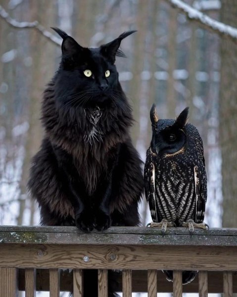 Мир природы загадочен