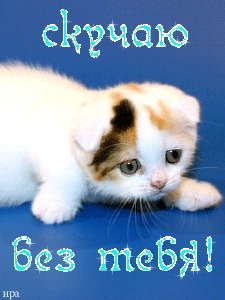 Ан. Скучаю без тебя.19.5с.