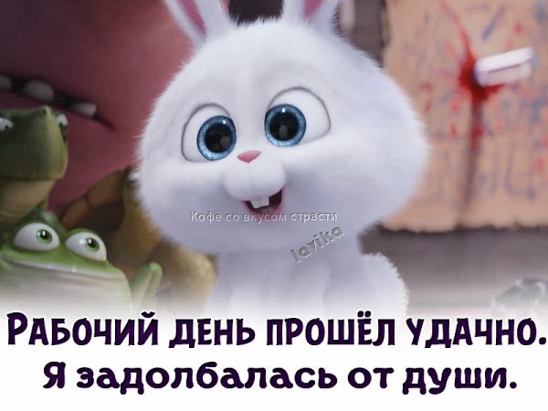 file_74647952
