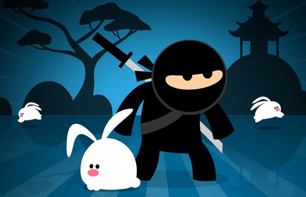 Ninja CC