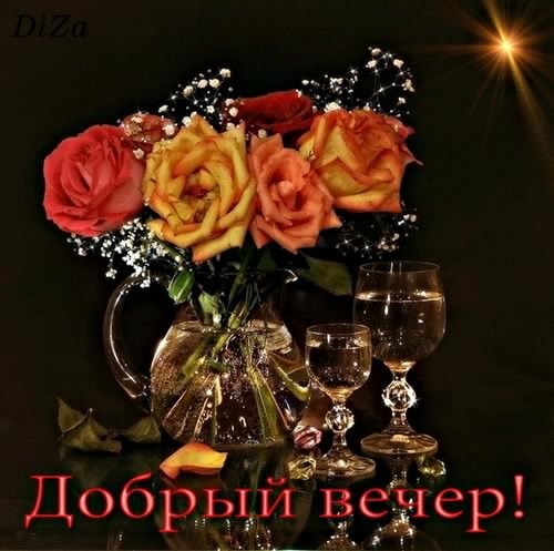 Добрый вечер 3.5с.
