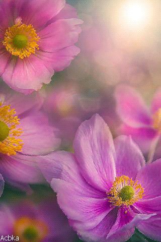 file_76359646