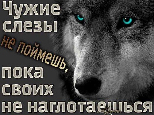 Чужие слёзы