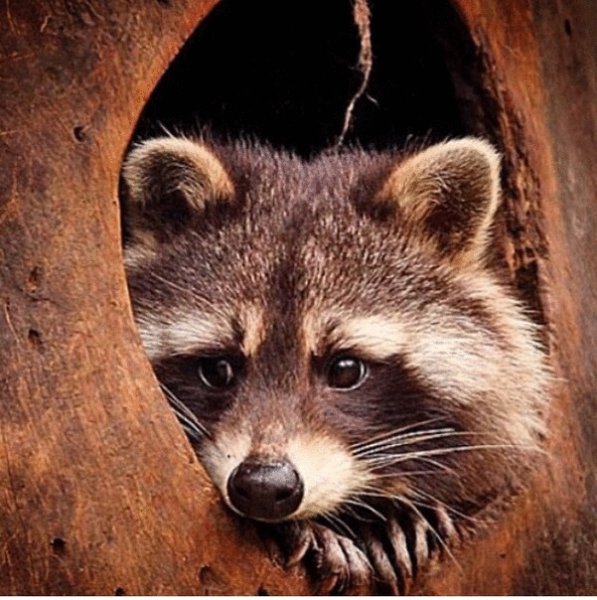 ЕНОТ98-08-87Ш (1)