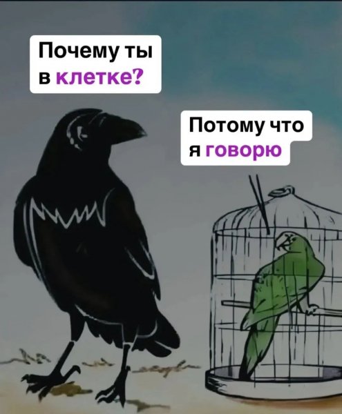 IMG 20260729 165604 840