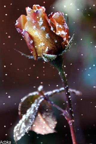 file_75712160