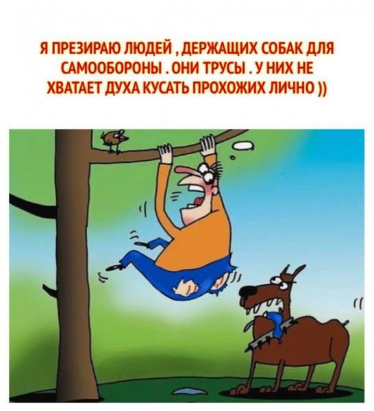 FB IMG 1779989128503