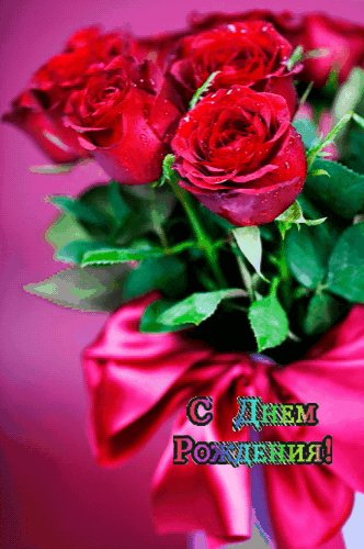 СДРБукет алых роз