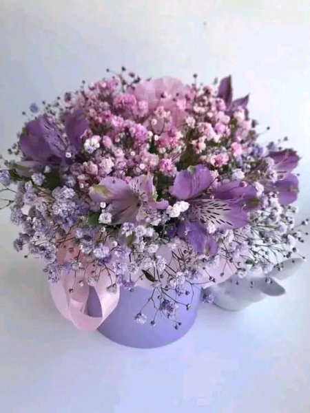 file_95715457