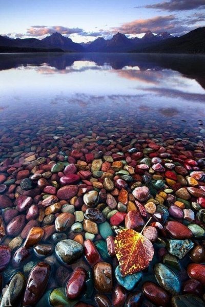 image (5)-