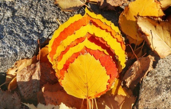 file_94764973