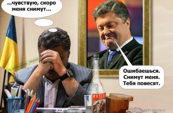 Параша размышлизм