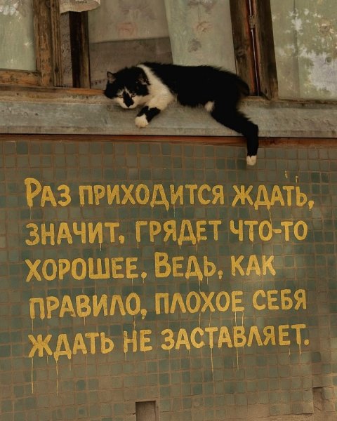 IMG 20260101 160401