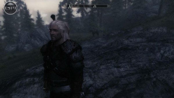 Witcher 3 style armor-65844-1-0
