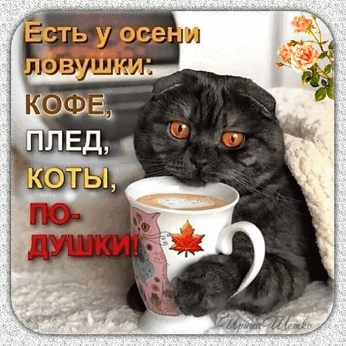 Анимированная открытка есть у осени