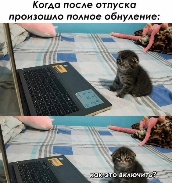 file_102730658