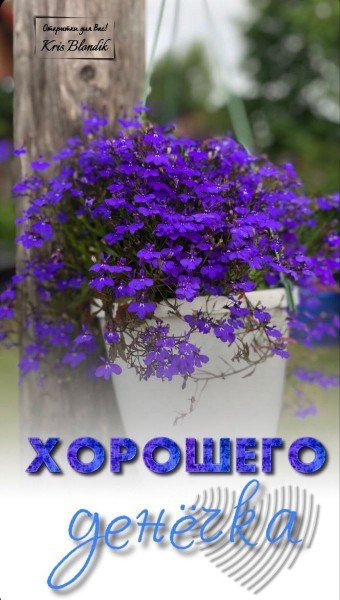 file_94737083
