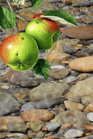 GIF-59fb22171129ea3b1a35fdde55e2dc8c