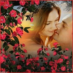 6f14cf25ea99ccc1301b32376dcd392e