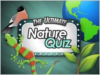 Ultimate Nature Quiz 320x240 E71