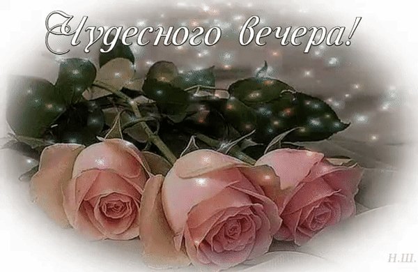 чудесного вечера 000312