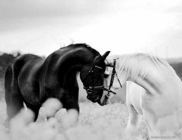 file_84729784