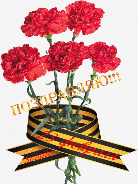 С 23 Февраля!
