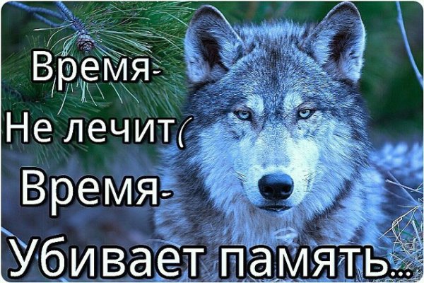 Время не лечит