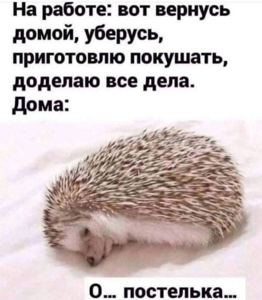 FB IMG 1776447412436