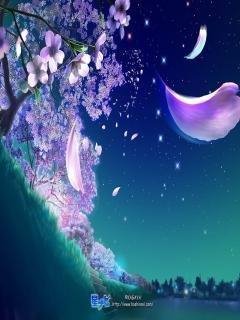 Java Sakura no12
