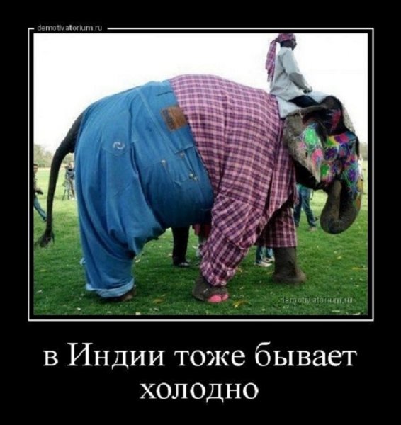 В Индии тоже бывает холодно
