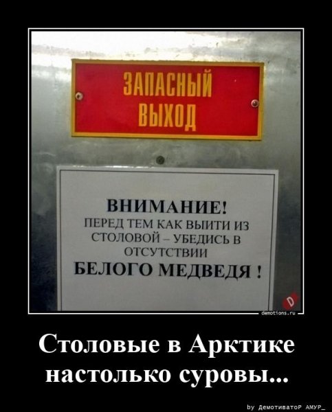 Суровая столовая