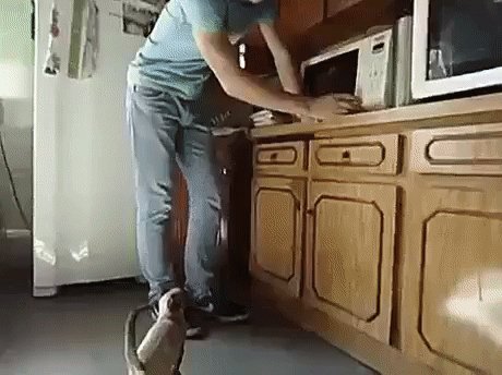 gif 1479920228