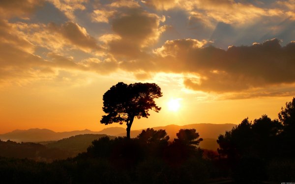 Super mix wallpapers 203 (0142)