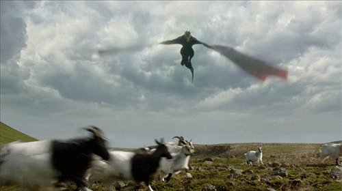 drogon4