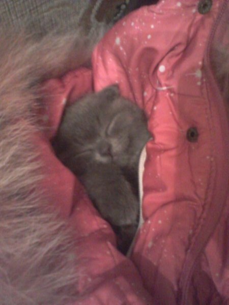 (00)Фото-0004 e1