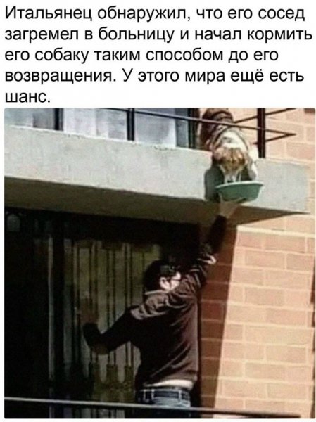 file_101789568