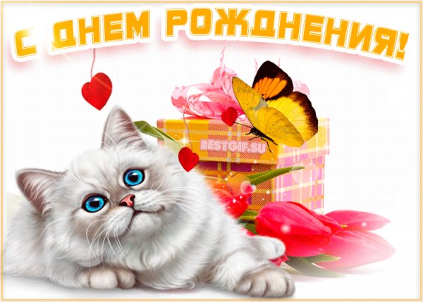 file_78441055