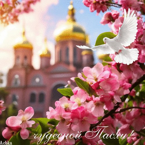 file_96496409