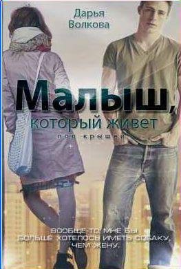 Дарья Волкова Малыш, который живет под крышей