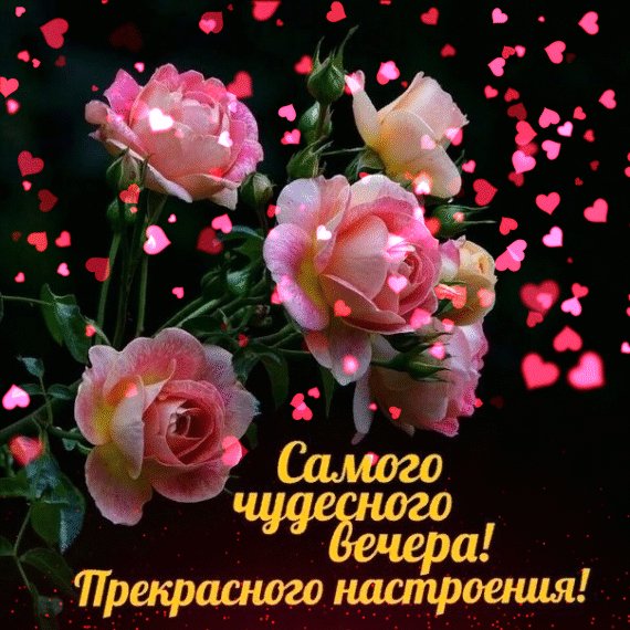 Чудесного вечера