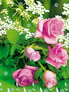 Настенька с Днем рождения