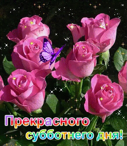IMG 20190803 135010