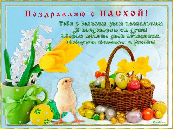 file_84185240