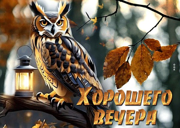 Анимированная открытка хорошего вечера (1)