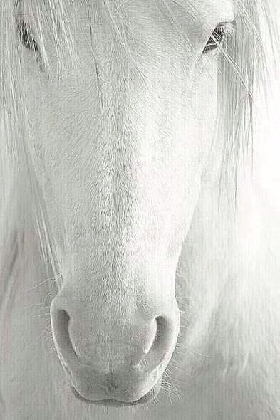 FB IMG 16397602056532152