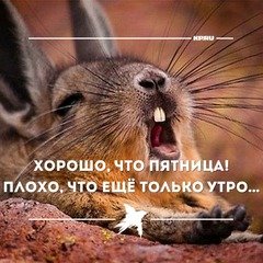 Хорошо и плохо