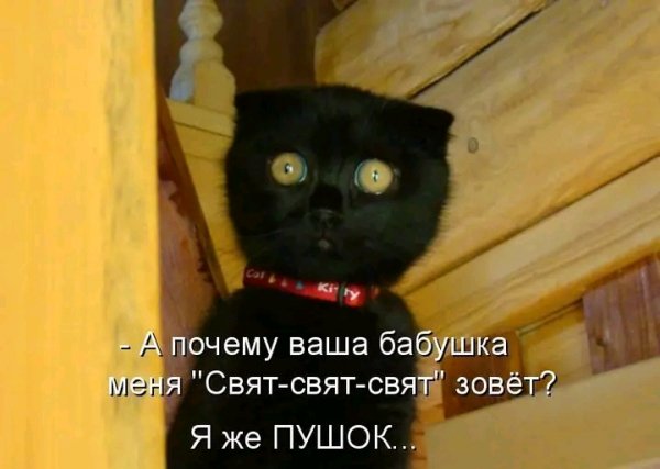 file_103146818