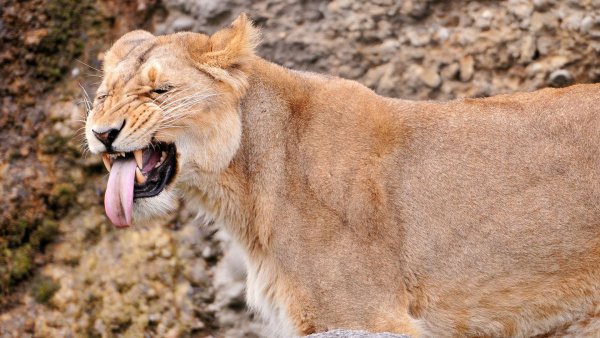 krasivye-kartinki-na-rabochiy-stol-19