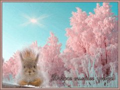 Доброе утро